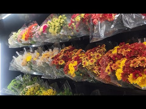 Holiday Kitchen Essentials+Shopping at Costco and Aldi