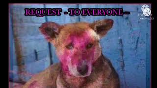 HOLI IS FOR HUMANS NOT FOR ANIMALS🙏 ENJOY THE H