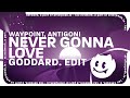 Waypoint, Antigoni - Never Gonna Love (goddard. Edit) [Lyrics]