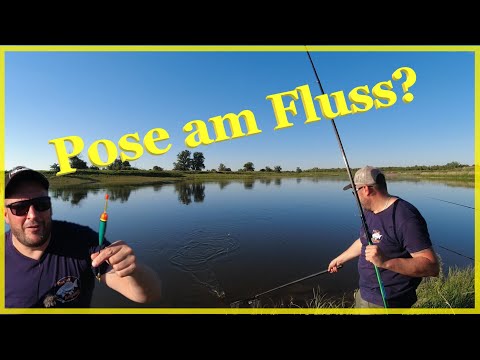 River fishing with float for zander, perch and coarse fish