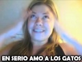 Songify This - Can't Hug Every Cat -- Una cancion ...