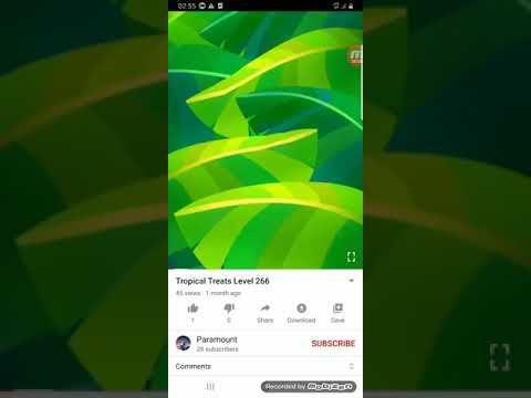 Tropical treats level 266