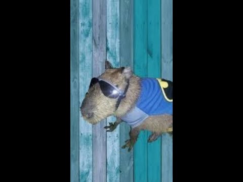 mrmdr, Wonst - walk around (Visualizer)