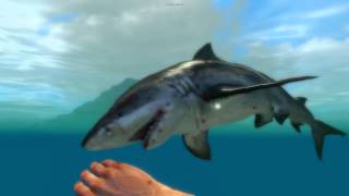 preview picture of video 'Petit combat contre un requin dans FC 3'
