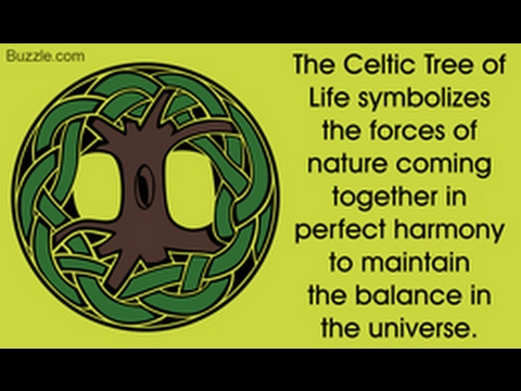 Explaining the Hidden Meaning of the Celtic Tree of Life
