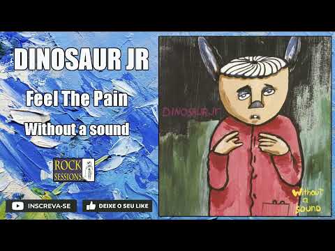 DINOSAUR JR -  FEEL THE PAIN   (HQ)