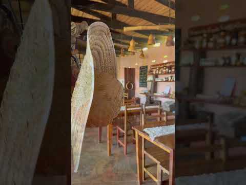 Granja la lechuza en Gral Alvear Misiones