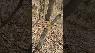 HEALING TIME in forest