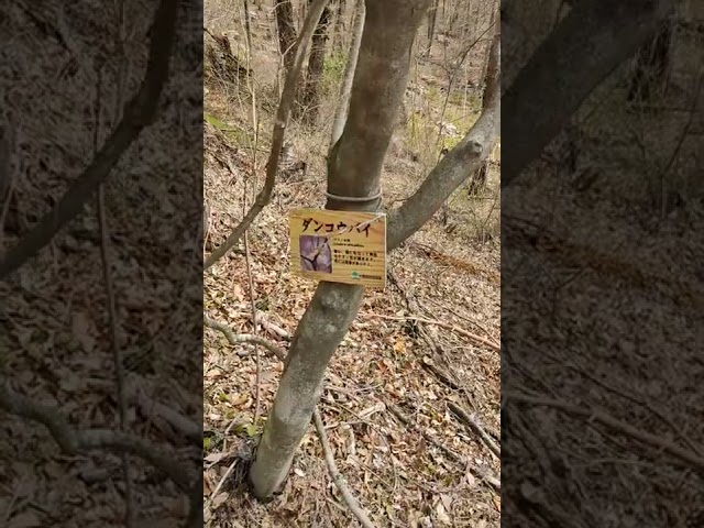 HEALING TIME in forest