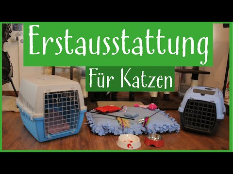 Erstausstattung für Katzen
