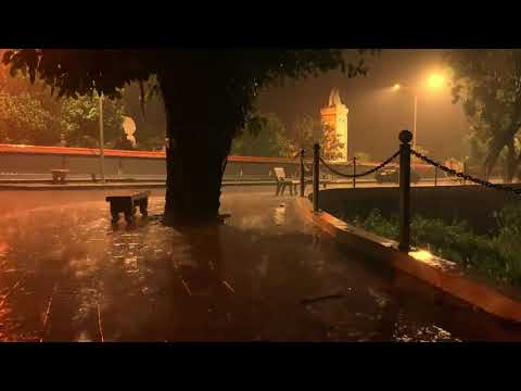 Fall Asleep Faster with Sweet Rain Sound in Park at Night /  Nature Sounds for Sleeping / Relaxing
