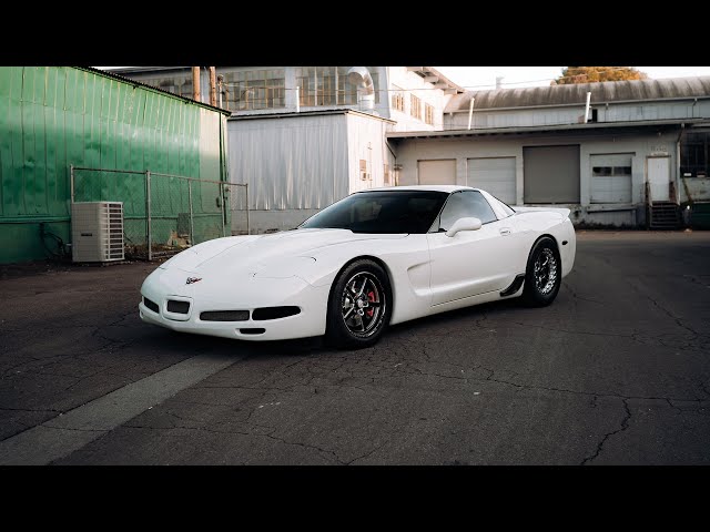 جنوط ويلد ventura