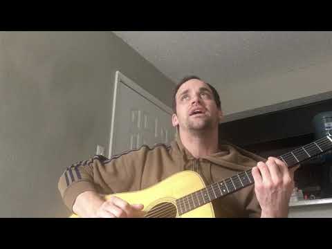 Mx Missiles - Andrew Bird