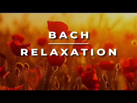 Bach - Air on G String | Relaxing Classical Music | 1 HOUR