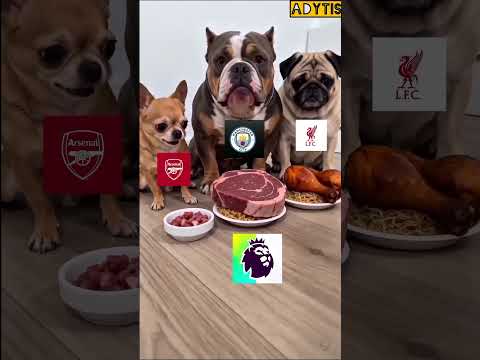 #arsenal #manchestercity #liverpool #premierleague 🐕😅😅⚽️🥇🥈🥉