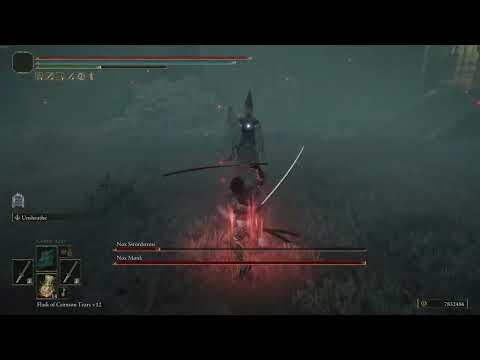 Elden Ring - Nox Duo - No Hit - NG+7 (Nagakiba)