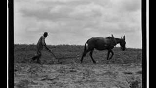 Sharecroppin&#39;. Fred Eaglesmith