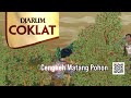 TVC Djarum Coklat Session 3 Anugerahalamindonesia