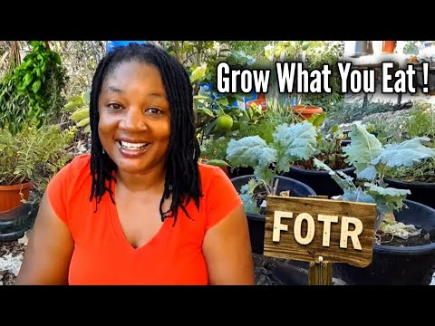 Grow What You Eat! Eat What You Grow! Encouraging And Helping Others To Grow Food
