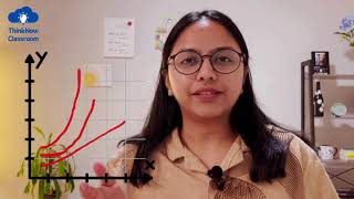 Polynomials Math's Ultimate Superstars