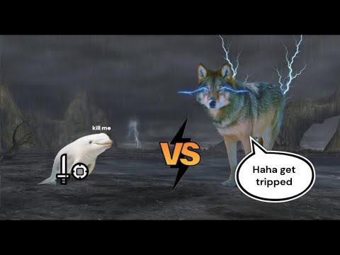 Musou Zino 5'17 SnS (rain server)