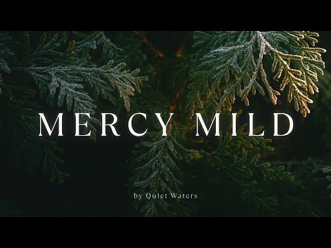 Peaceful Christmas Carol Worship Instrumental | Quiet Time & Devotional