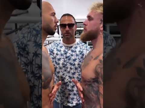JAKE PAUL VS ANDREW TATE