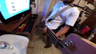 Suicide Machines - Sometimes I Don't Mind - Bass Cover