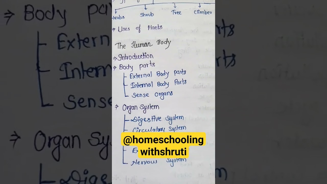 Science Syllabus Class-3 2024-2025||Science Syllabus|| Grade-3 Science Curriculum|| Science syllabus