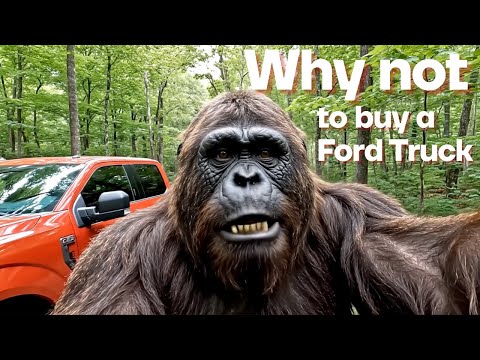 Ford Memes