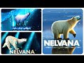 Nelvana Intros 2004 Made By Al