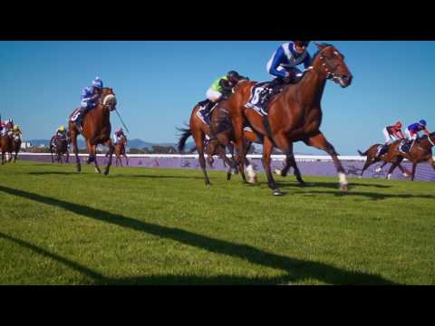 Horse Race | Sun International | 2017