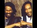 Israel Vibration - Flood Water