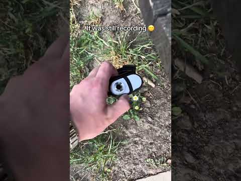 I hope she’s okay🙏🏻#cat #pet #petsoftiktok #fyp #viral #cute