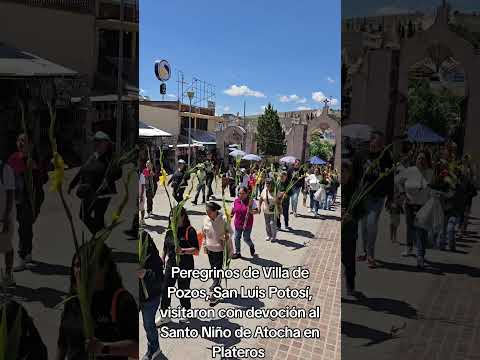Peregrinos de Villa de Pozos, San Luis Potosí, visitaron al Santo Niño de Atocha en Plateros.
