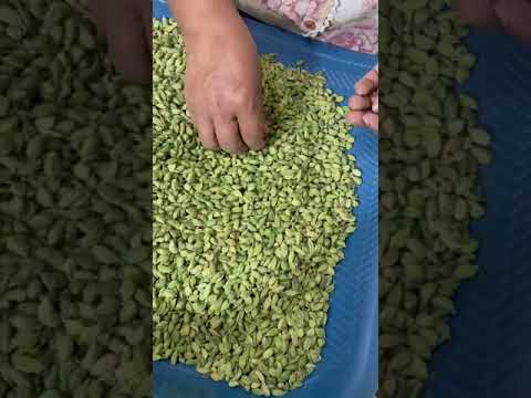 7.5 - 8mm Green Cardamom