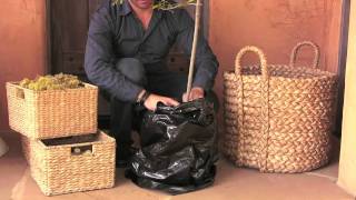 X-Large Beachcomber Basket from Pottery Barn