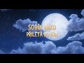 Sobík Niko: Cesta za polární záři