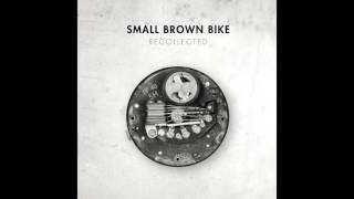 Small Brown Bike - My Unanswered Whys