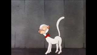 COW BOY SONG   ( If It Ain't Broke - Whitey Morgan )