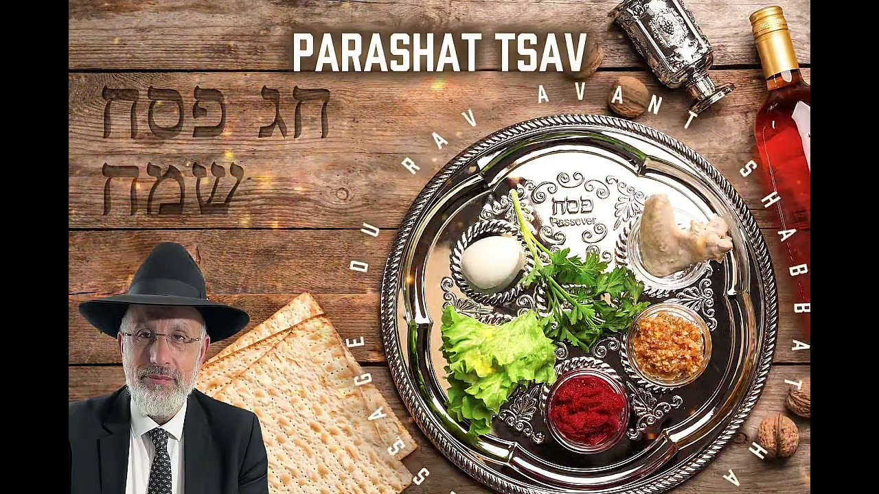 Parashat Tsav ✨ Message du Rav avant Shabbat HaGadol et Pessah✨