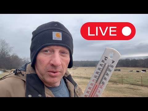 Frigid Cold Front! Check the Animals