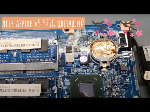 Acer Aspire v5 571G цветущий