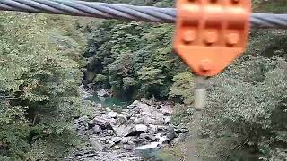 海外投資 専門家 これからの 投資先