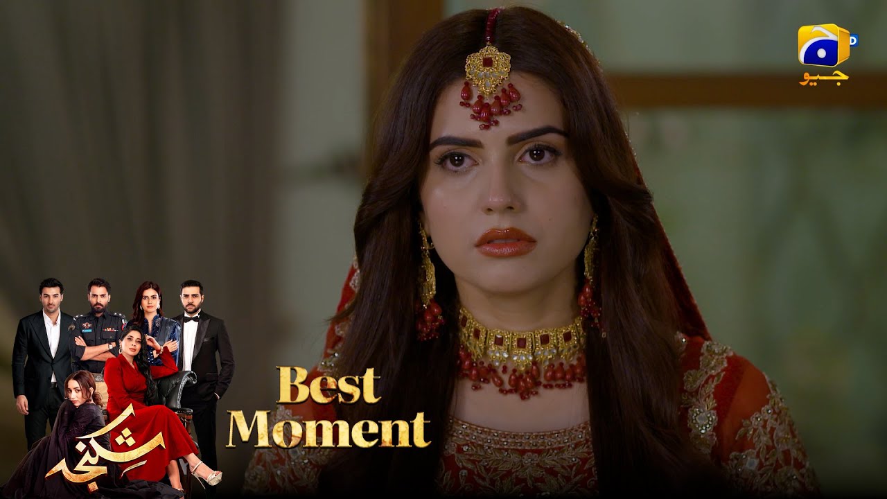 Shikanja Episode 55 | 𝐁𝐞𝐬𝐭 𝐌𝐨𝐦𝐞𝐧𝐭 𝟎𝟒 |  Azekah Daniel - Asad Siddiqui - Furqan Quresh | Har Pal Geo