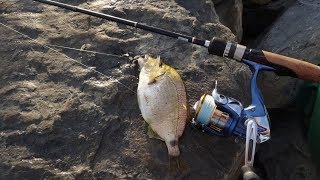 Ловля морского карася на чёрном море
