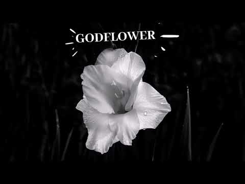 REMAKE - GODFLOWER - JAZZ CARTIER FT. ZURDO