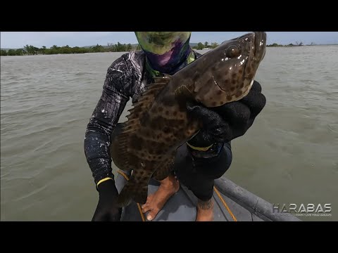 EP684-P1 - Pangingitang sa Ilog | Occ. Mindoro