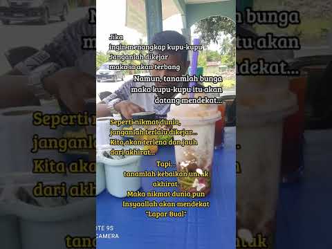 Lapar Bual