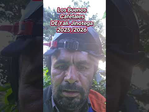 El buen Café de San Sebastián de Yalí. jinotega. Nicaragua